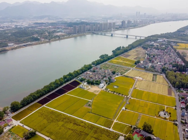 桐廬縣鄉(xiāng)村會(huì)客廳：智能科技點(diǎn)亮鄉(xiāng)村振興新篇章